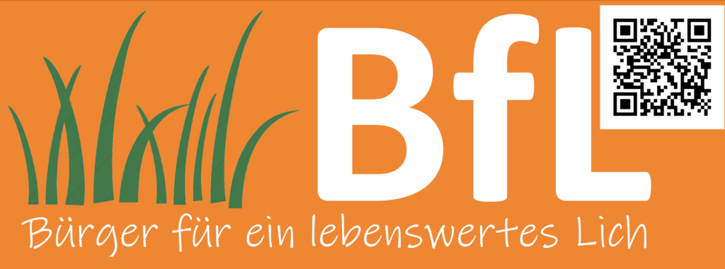 Umfrage: Welche Themen sind Ihnen wichtig für Lichs Zukunft