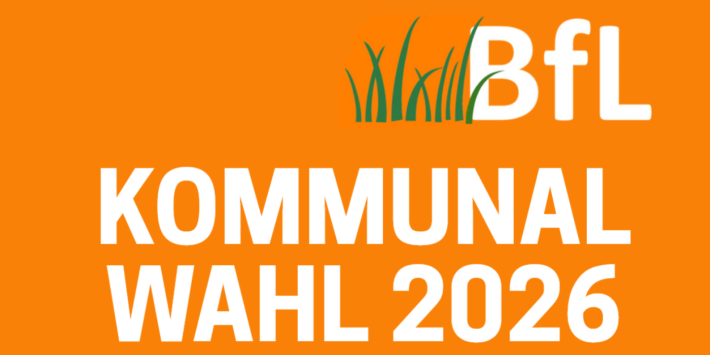 Screenshot 2026-01-31 152951